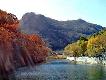 新澳天天开奖资料大全旅游团，骊威论坛